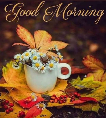 LivingCozy's tweet photo. πβ₯οΈππ§£πβ₯οΈππ§£π
Fall Holidays!!!
#FallHolidays π₯°π«π https://t.co/ecjcXV11bX