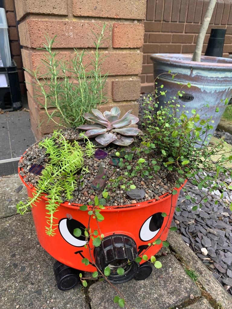 Really NEET Project tweet media