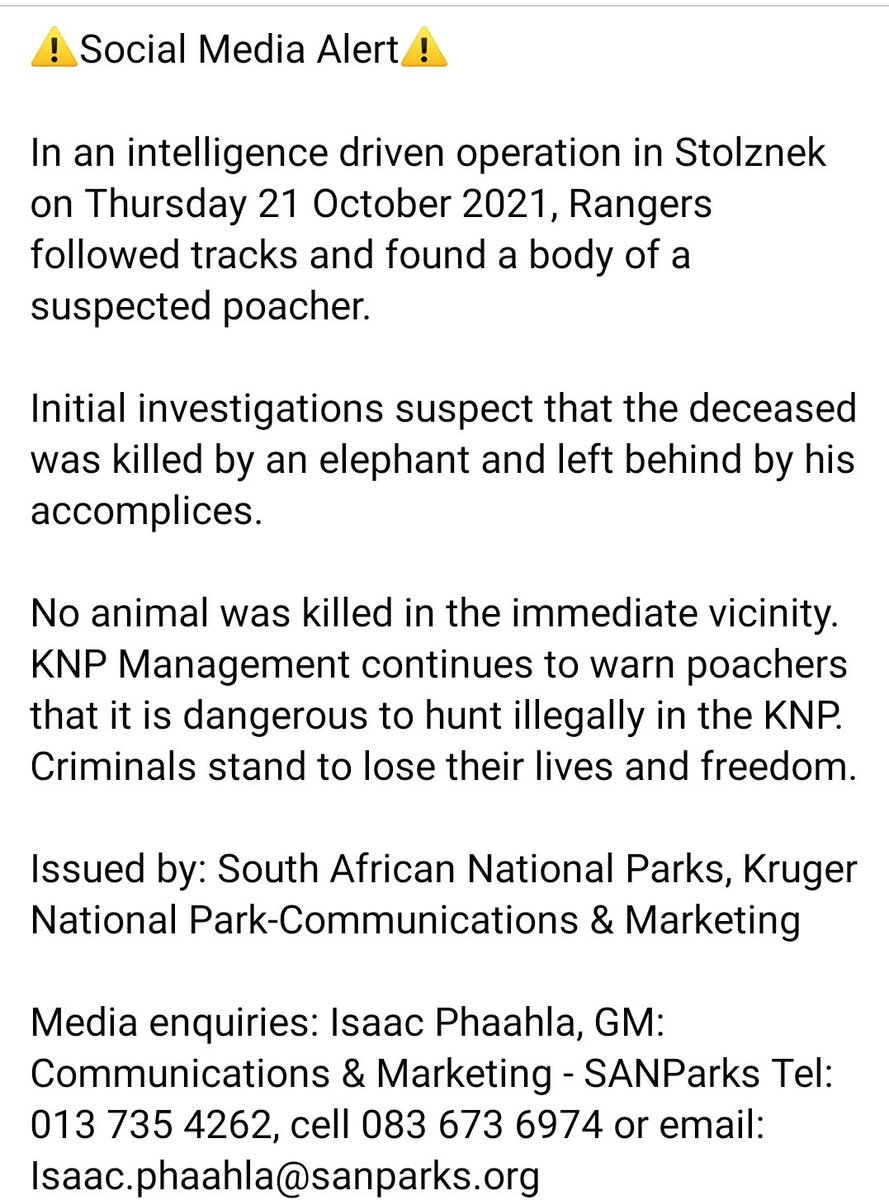 SANParksKNP's tweet image. 