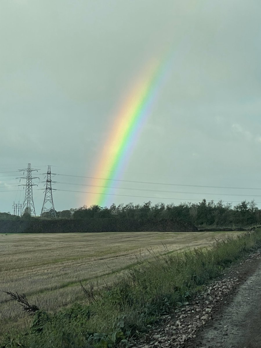 jcrrecycle's tweet photo. Can I see a pot of gold at HQ? 🌈 #qualitycompost #pas100 #composttoland https://t.co/x9c1xoJNns