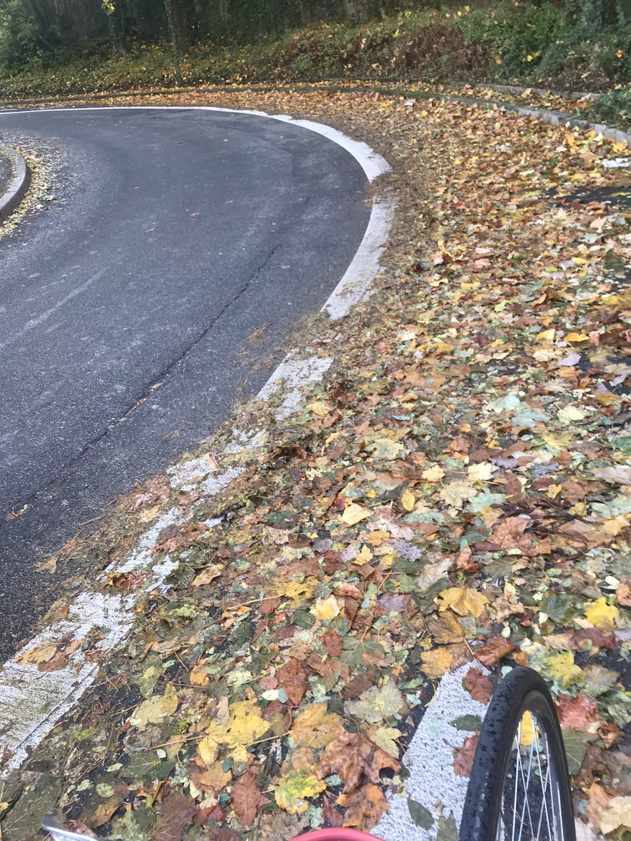 An_Druschka's tweet photo. Hauptsache die Straßen für Autos sind sauber. Jedes Jahr dasselbe #liststrasse @stuttgart_stadt #stuttgart @adfc_stuttgart @RadRitterin @radentscheid_S https://t.co/EkQTx6Fu8h