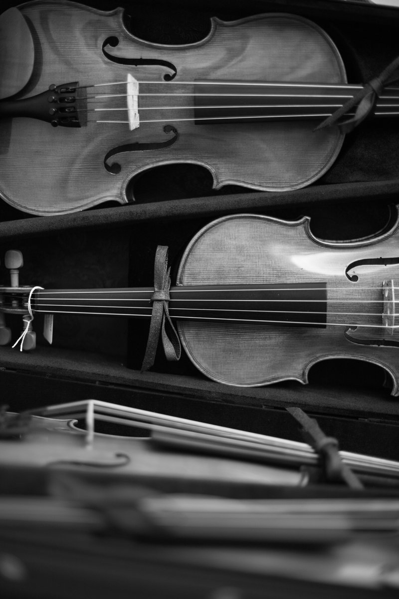 Luthier Vidal tweet media