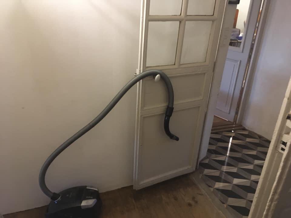 Our house has been infiltrated by a feral Hoover which skulks around corners waiting to frighten passers by by suddenly retracting its tail.