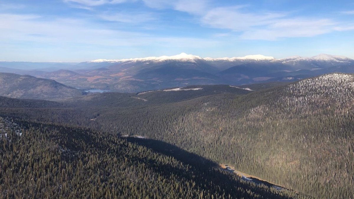 BC_FPBoard's tweet photo. Images captured on forestry audit of Canfor near Mackenzie earlier this week - beautiful #BCforest; #grizzly tracks; auditors examining bridge; and our executive director, Geoff! https://t.co/ZBk2YyaQKA https://t.co/KC698gwHQk