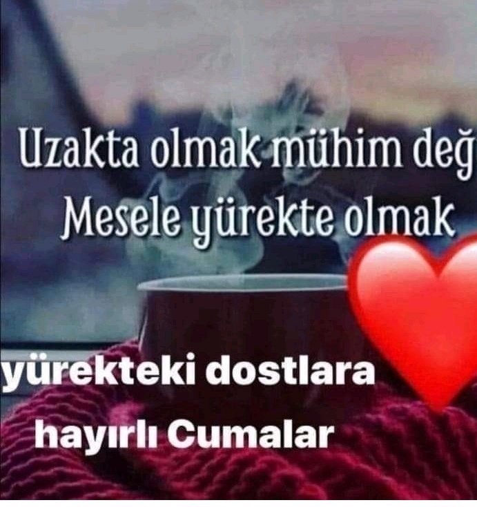 Mehmet BAŞAR (@mehmetbasar4306) on Twitter photo 