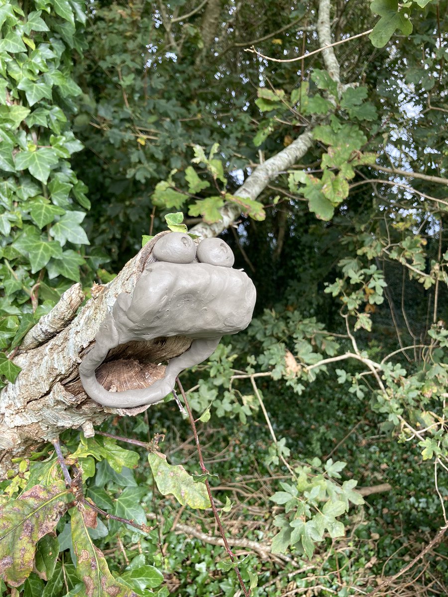 Best Tree Guardian EVER!! #forestschoolfriday <a href="/sdcollege/">South Devon College</a>