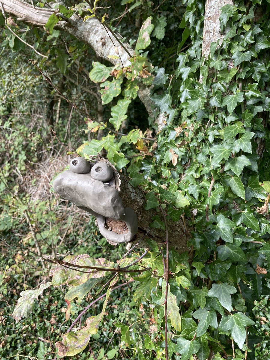 JoButtonHE's tweet photo. Best Tree Guardian EVER!! #forestschoolfriday @sdcollege https://t.co/fXRtgQHlBp