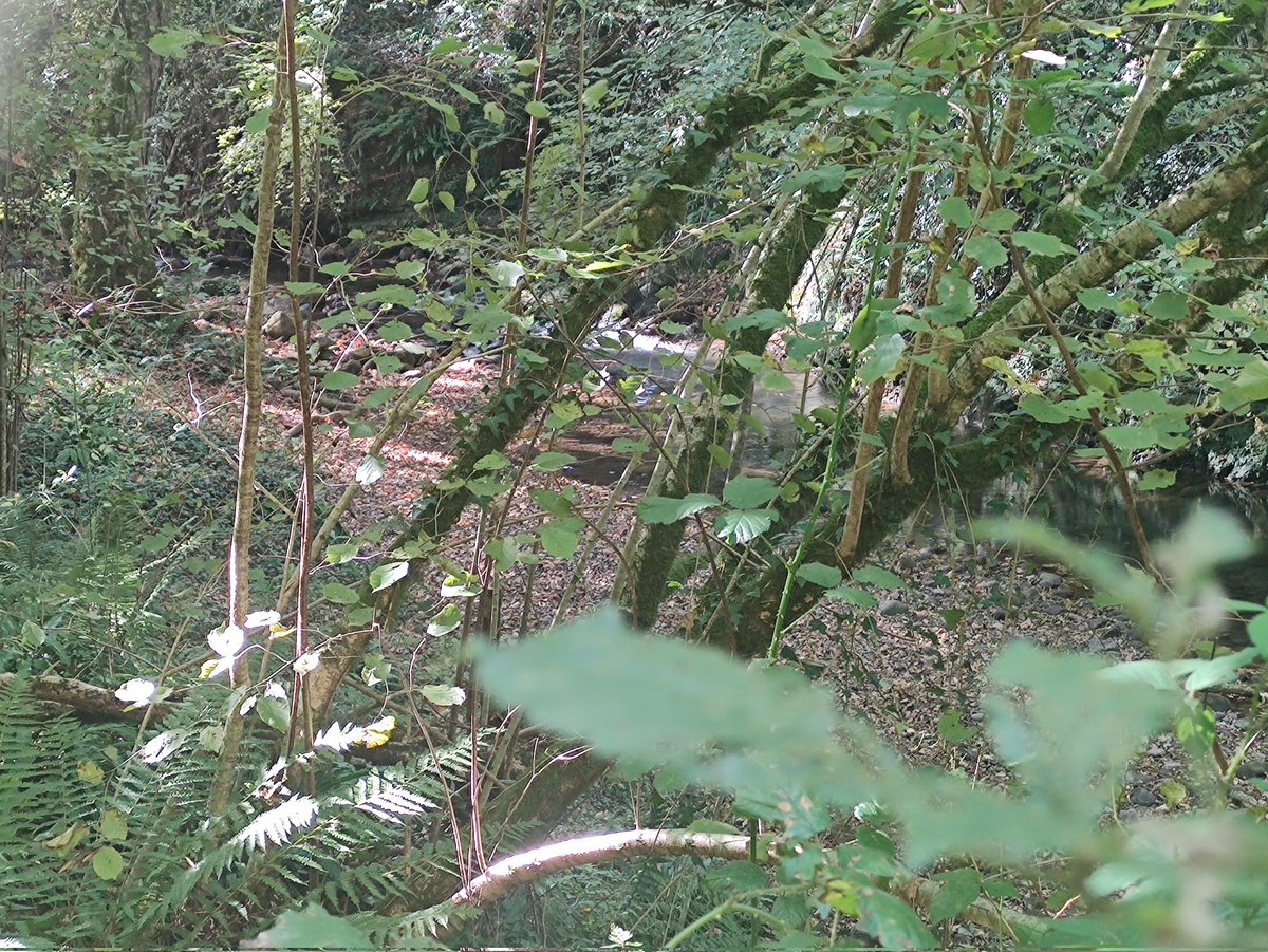 Cada vez que viaje al norte me enamoro un poco más, esta vez fui a Navarra. Os dejo las mejores fotos.