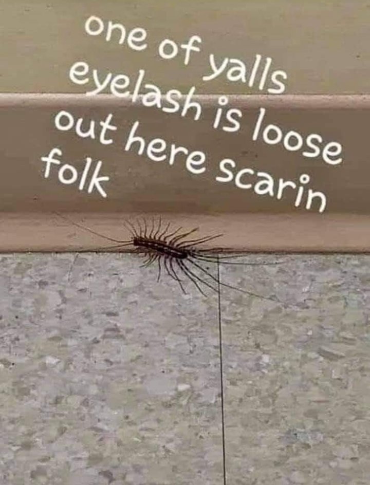 sandy22002's tweet photo. 😂😂😂😂😂😂 I nearly wet myself laughing when I saw this pmsl 😂😂😂😂😂😂 https://t.co/37F2qLaCcg
