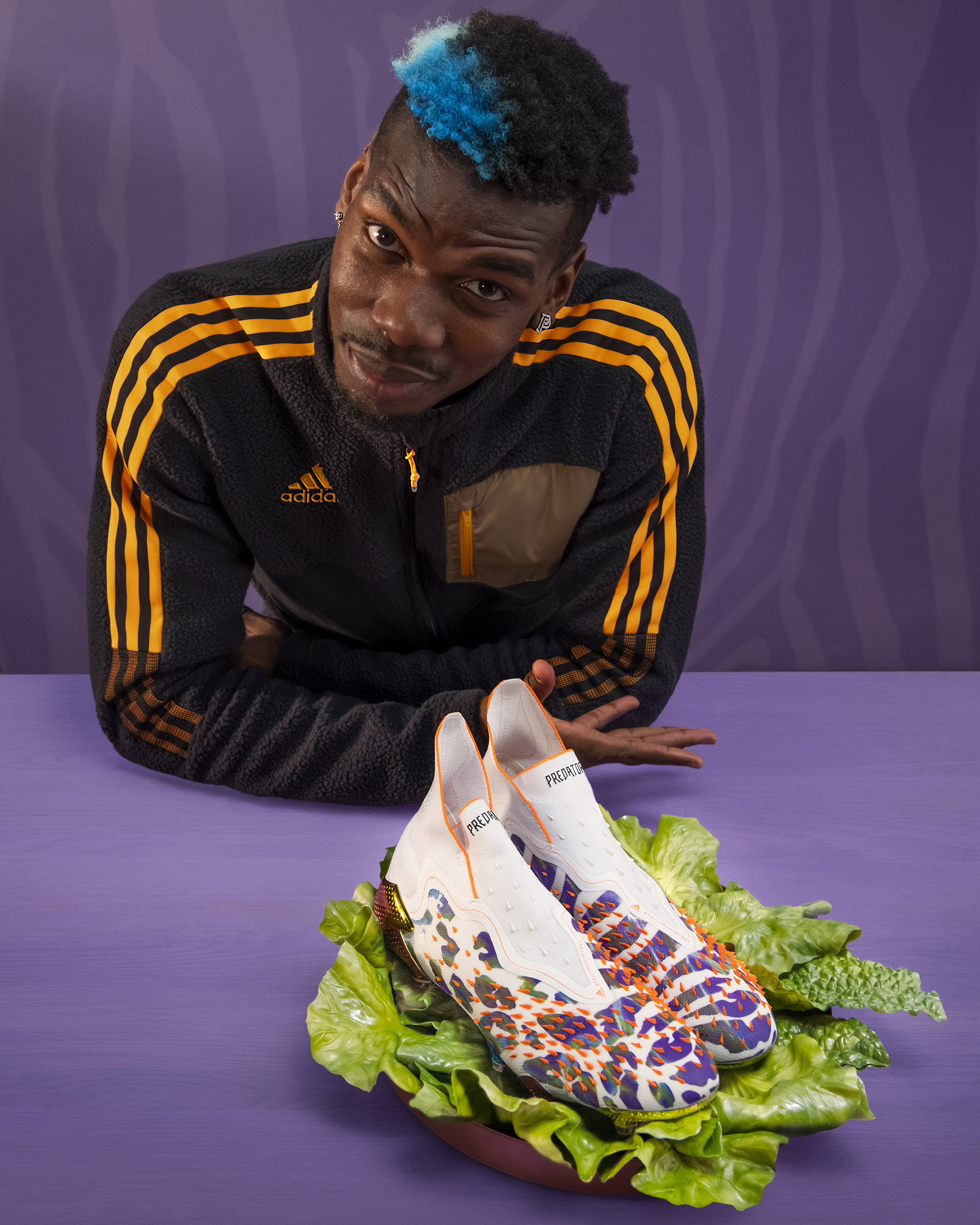 predator x pogba
