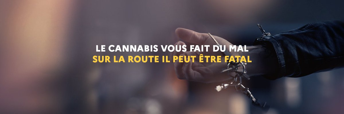 RoutePlusSure's tweet photo. [Communiqué] La sécurité routière alerte sur les effets du cannabis au volant 👉 https://t.co/q8BuC7nhr7 https://t.co/bHduEMezjq