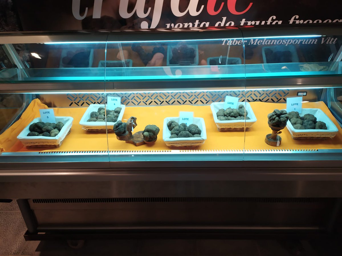 De la mano de nuestro socio Juan Vilas, hicimos un recorrido sobre la historia de la trufa en nuestra región. Aquí podéis seguir foto a foto la evolución:
facebook.com/media/set/?van…
#Graus #AragonAlimentosNobles #ComparteElSecreto  #trufanegra #truficultura