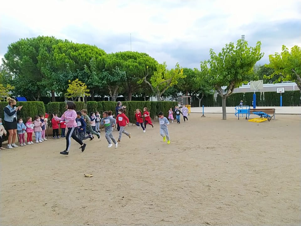 Escola Cal·lípolis tweet media