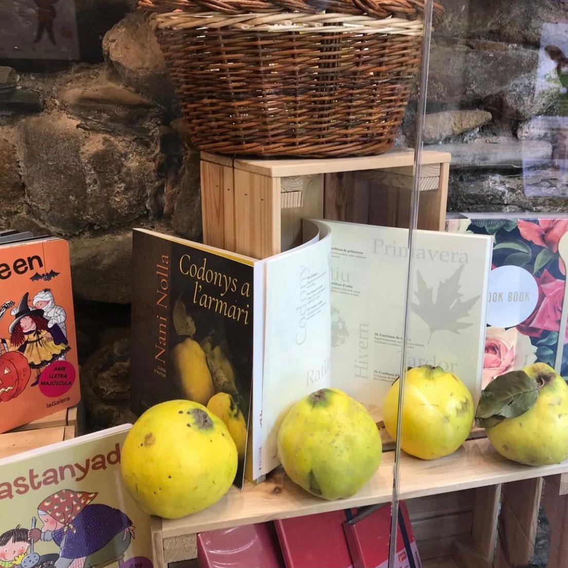 AjTremp's tweet image. 👀Ja has vist els aparadors del #Codony dels comerços de #Tremp? 🍋
Recorre els carrers de la ciutat i vota el que més t'agradi a bit.ly/AparadorsCodony
#AparadorsdeCodonys
