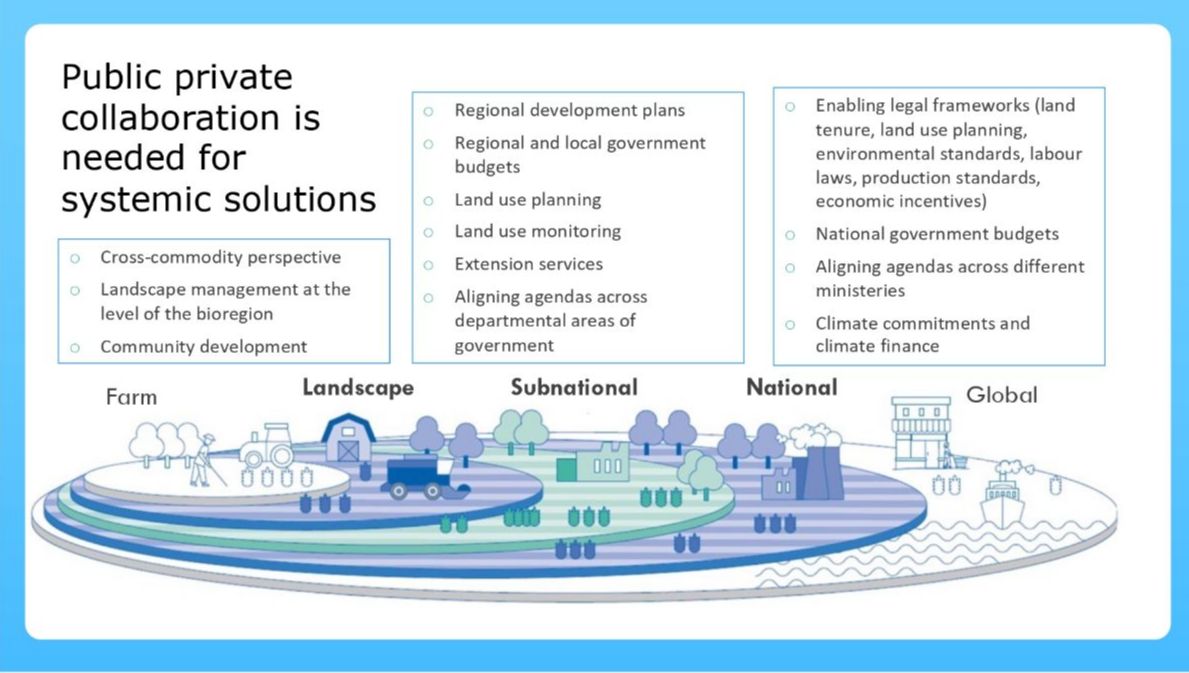 EPOA_IT's tweet photo. #SustainablePalmOil Contribution Towards #SDGs Achievement 🌴Highlights &amp; Key Takeaways from our online event hosted with @UNDPcommodities @FoKSBI - https://t.co/mYduUWpDI3 #sustainablepalmoil  #festivalsvilupposostenibile #stiamoagendo  @CmccClimate @ASviSItalia @CmccClimate https://t.co/ZGa6hUsXNU