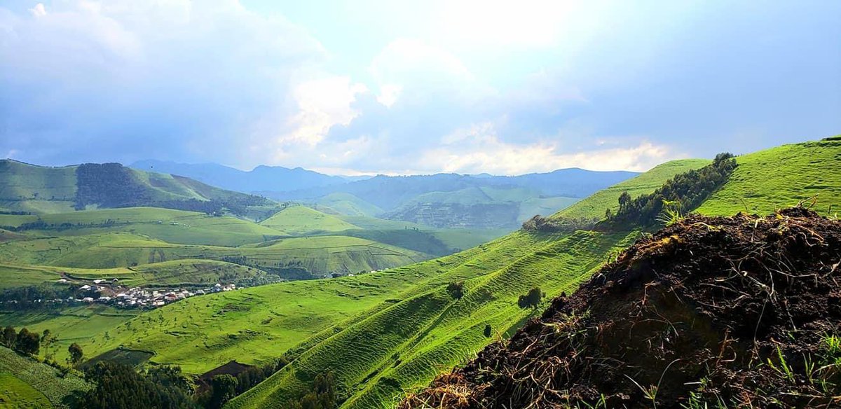 Welcome to #Massissi in North Kivu 
#VisitDRC today 
📸 Jo Katunda