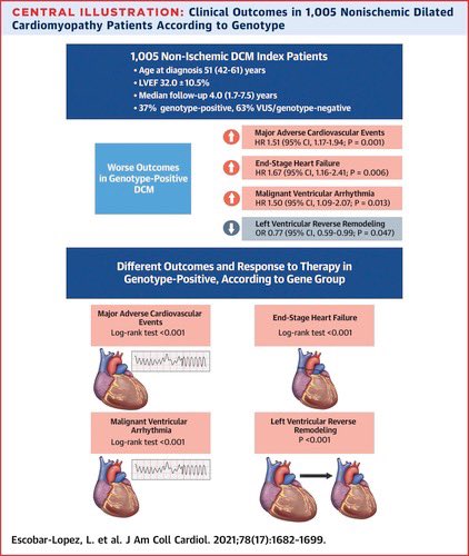 Interesting 📄:outcomes in DCM🫀by 🧬. Editorial highlights gene/variant curation issues and higher than expected genetic yield. Please don’t think of G+ DCM as a homogeneous group. Reality=nuanced. TTNtv, the majority player, behaves v differently to the others…@JACCJournals