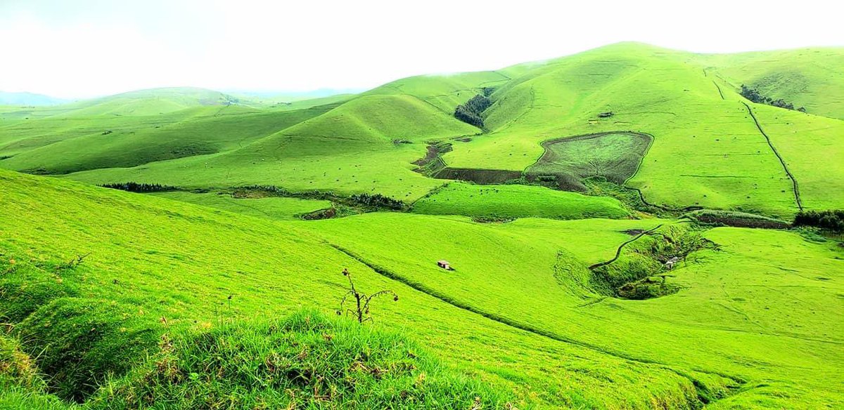 Welcome to #Massissi in North Kivu 
#VisitDRC today 
📸 Jo Katunda