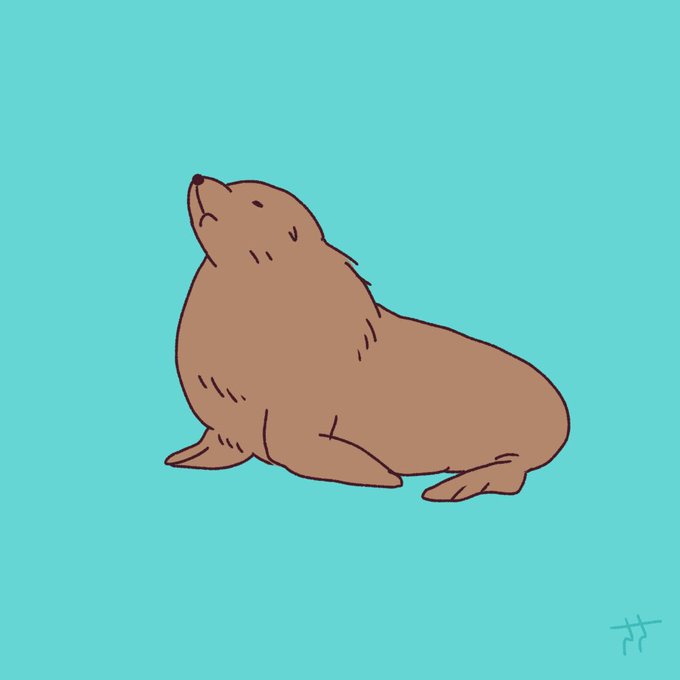 オットセイのtwitterイラスト検索結果