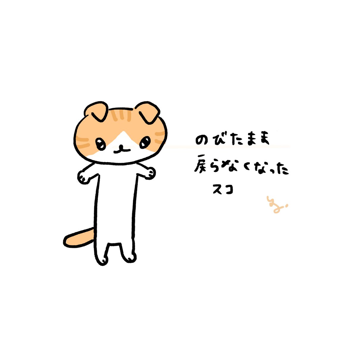 珍しくねこ 