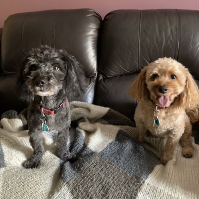 Ao7374's tweet image. #NewProfilePic