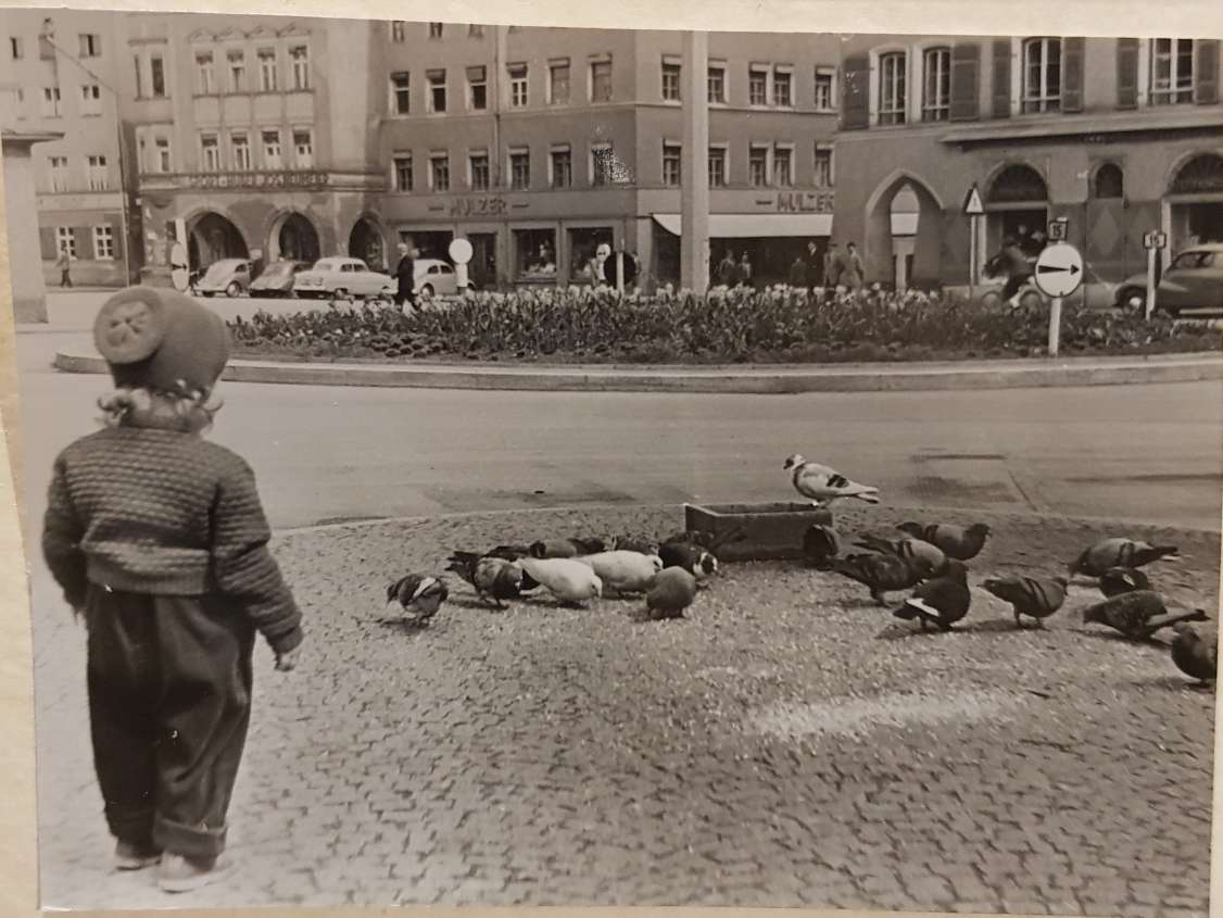 KWunsam's tweet photo. #FotoOldie: Heute geht es zurück in das Jahr 1957. Wir landen mit unserer #Zeitmaschine auf dem Ludwigsplatz in #Rosenheim. Ein kleines Mädchen beobachet gerade die Stadttauben. 
#Archiv #foto #fotografie #alt #geschichte #history #bayern https://t.co/S7YDDvQW61