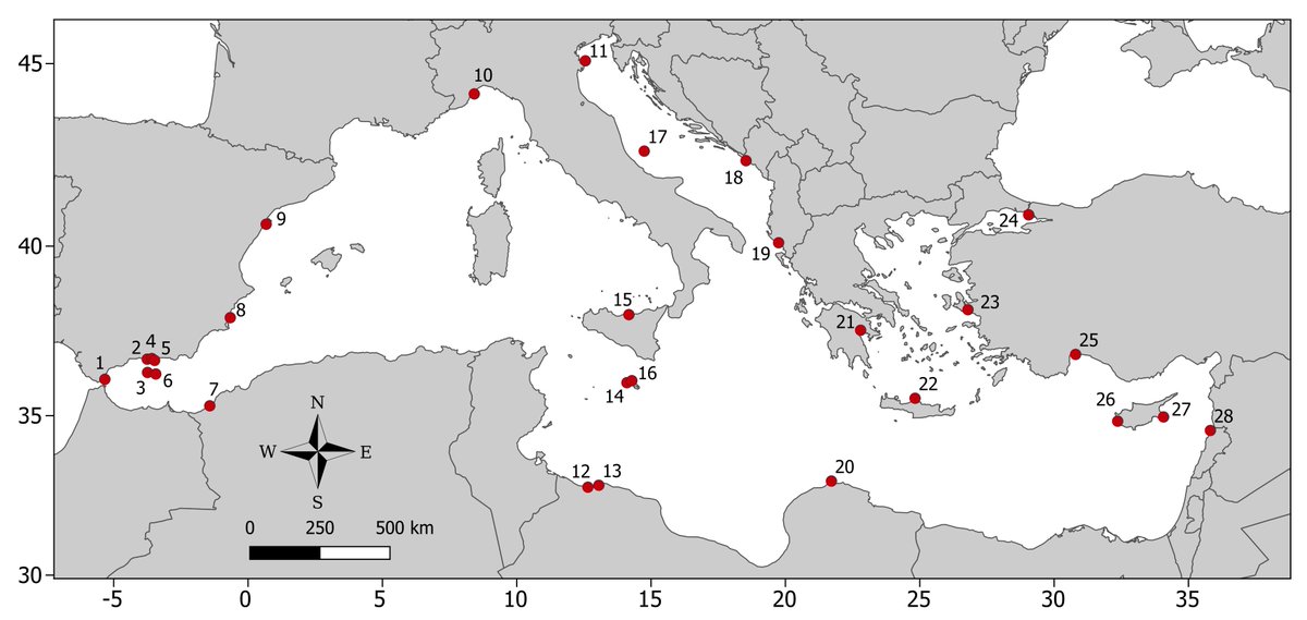 MeditMarSci's tweet photo. New records of #rare_species in the #Mediterranean_Sea (October 2021), Tsagarakis Konstantinos et al @MeditMarSci
This article presents 27 taxa belonging to 5 #Phyla: #Ochrophyta, #Cnidaria, #Arthropoda, #Mollusca, #Chordata, from 11 countries...
More: https://t.co/LR8CDsQZLi https://t.co/EsfXNjzzTV