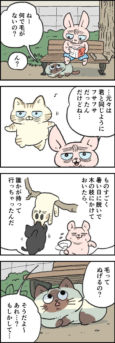 猫が毛皮を脱いだなら│フェリシモ猫部 https://t.co/VsDJPX4gxr 