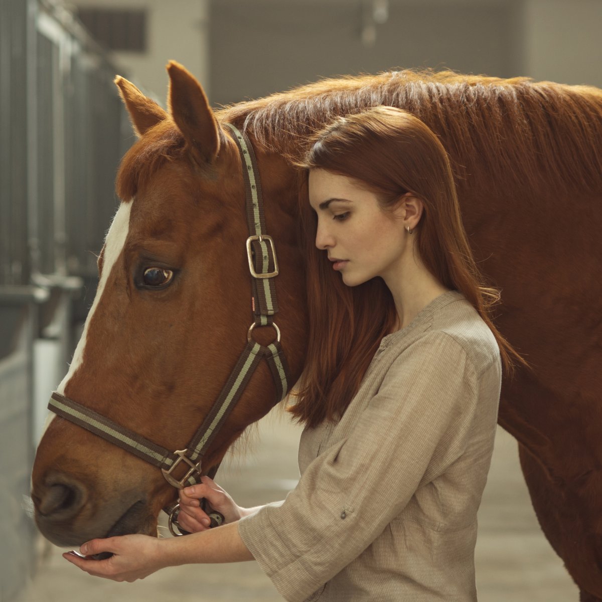nymf_app's tweet photo. Every time Lori looked into Sarah’s eyes, she saw a reflection of herself... the same stubborn, playful, free and unstoppable red-haired beast.

#sideways #redhaired #red #female #woman #young #girl #horse #photography #model #artwork #photo #beauty #best #mobileapps #nymf https://t.co/RJHoQiW9SQ