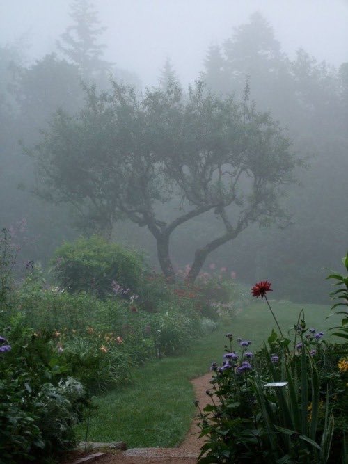 . (@7livex) on Twitter photo 