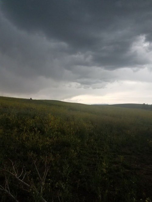 . (@7livex) on Twitter photo 