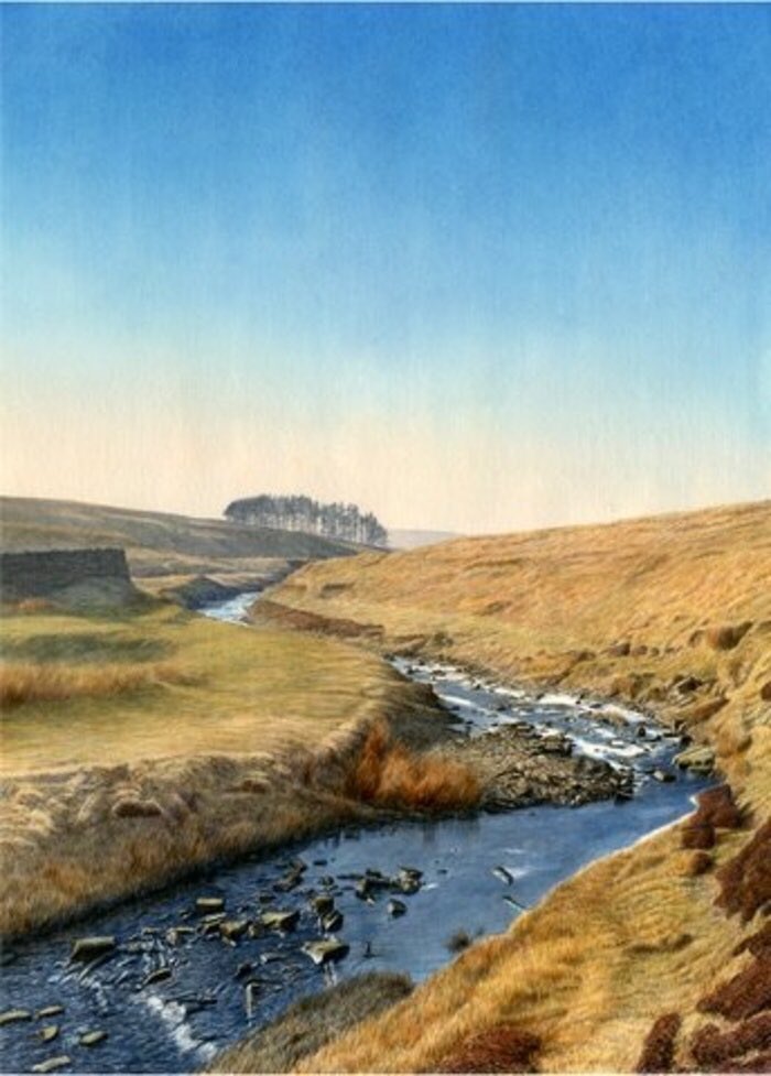 PStangroom's tweet photo. ‘Devil’s Water’ depicts the faint haze caused by the burning of successive patches of heather moor on a bright, and otherwise quite clear, day. #Devilswater #Northumberland #Allendale #gallery #Corbridge #Hexham
Art - https://t.co/TnVpmR6UwR https://t.co/E9HUxJMPjj