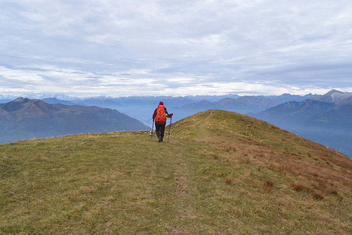 WegWandernCH's tweet photo. Top-#Wanderung 🔥 auf den #MonteBar, 1814 m.ü.M., mit grandioser Aussicht 👍😘
➡️ https://t.co/LsCGuPXHUH

#CapannaMonteBar @LuganoRegion @ticinoturismo #wandernschweiz #blickheimat #swisshiking #swisshike #wandern #wanderlust #swissalps #hikingswitzerland #lugano #ticino #tessin https://t.co/qTuC7aR37o