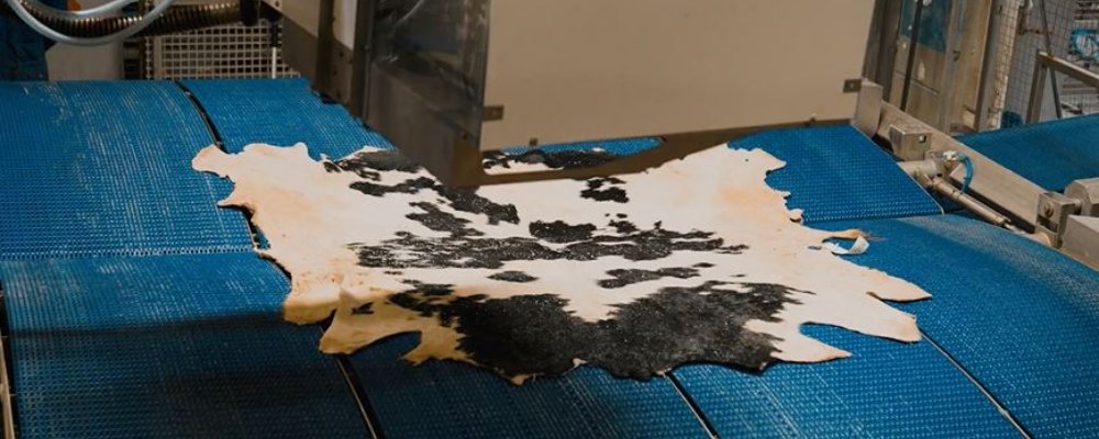 La peau : origine et métiers buff.ly/2Z4jiwf
