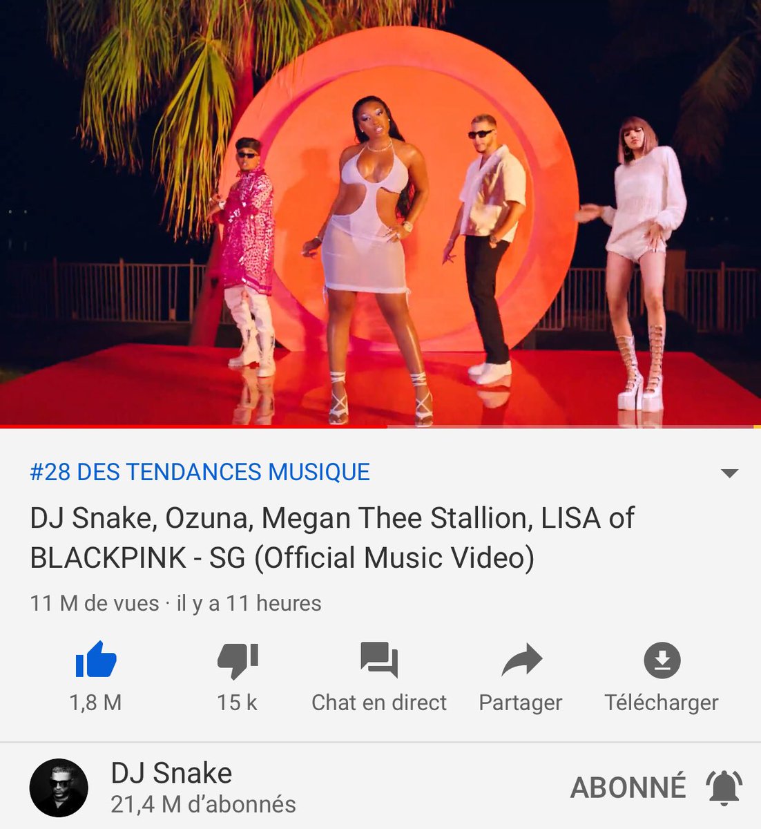 djsnake tweet picture