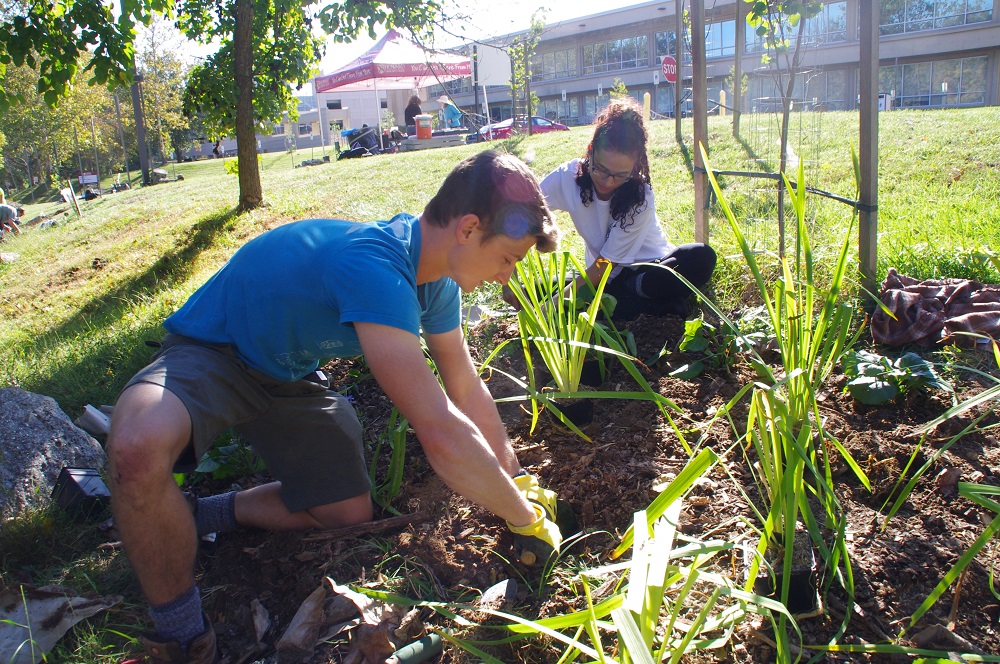 LiveGreenHoward's tweet photo. 6 pollinator gardens were added to the #PollinatorTrail at @HowardCC's annual #SustainabilityDay! 

Learn more: https://t.co/VqqkPzzWVc

@HEcoworks @AudubonCentMD @sierraclubmd @ChesConsCorps  @baytrust https://t.co/AsUF62cRp5