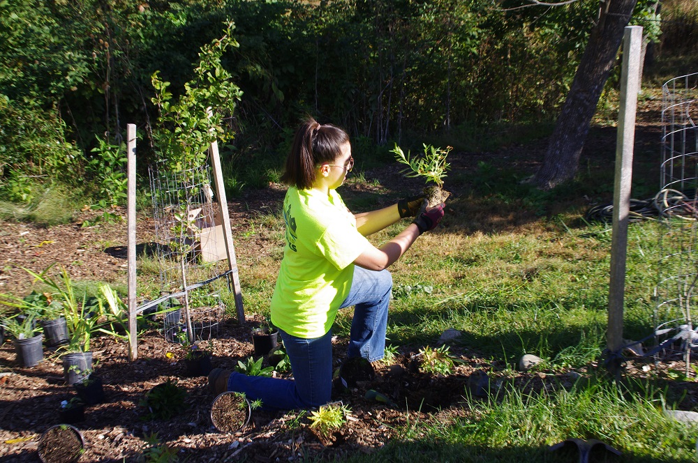 LiveGreenHoward's tweet photo. 6 pollinator gardens were added to the #PollinatorTrail at @HowardCC's annual #SustainabilityDay! 

Learn more: https://t.co/VqqkPzzWVc

@HEcoworks @AudubonCentMD @sierraclubmd @ChesConsCorps  @baytrust https://t.co/AsUF62cRp5
