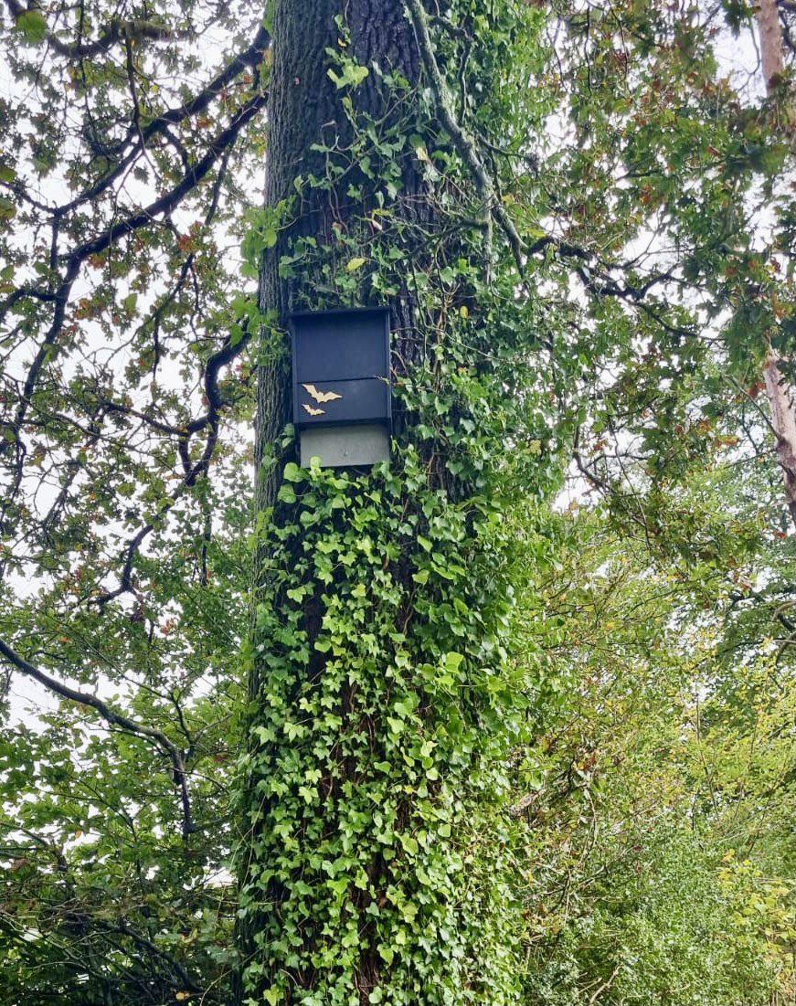 DKSLimited's tweet photo. This week we have been installing wildlife habitats at various solar parks throughout the UK. 

Solar parks can benefit local biodiversity and provide a safe environment for pollinators, wildlife and grazing sheep through environmentally sensitive land management. https://t.co/CNAK3kqzz7