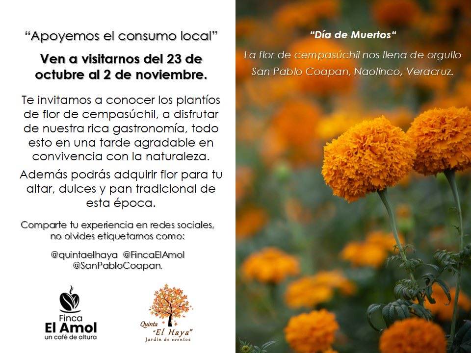 reportecx's tweet photo. A partir de mañana y hasta el 2 de noviembre, en San Pablo Coapan, municipio de Naolinco, Veracruz.

Ayudemos a difundir, por fa.
@VialidadXalapa 

#YoComproLocal
#YoApoyoElComercioLocal
#ApoyoElComercioLocal
#ApoyoComercioLocal
#ComproLocal
#ComercioLocal https://t.co/gcBPMQPl4d