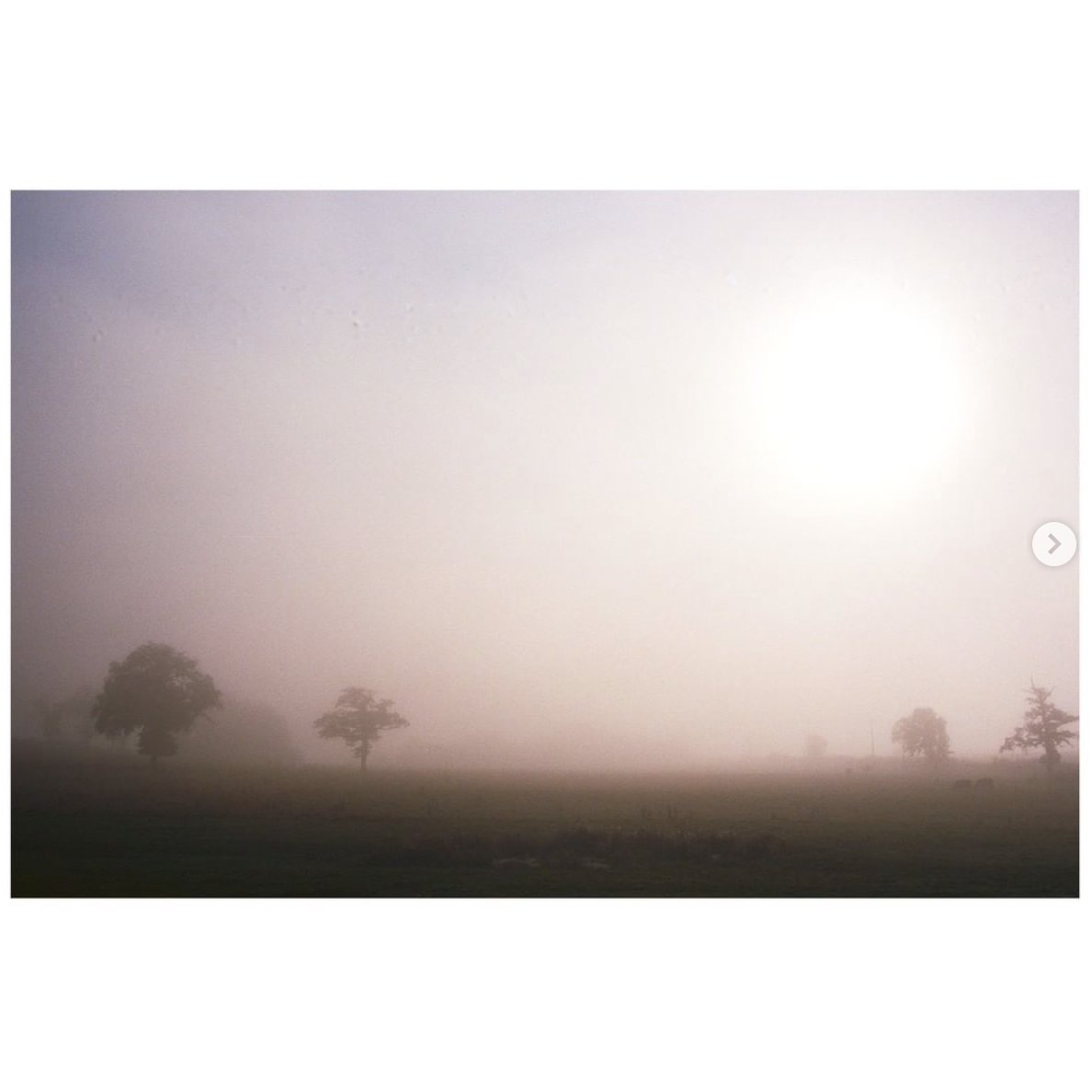 This minimal foggy pic by Nathan Péronne (@flim_about_cyclimse) from #france is the winner of our photo of the week contest. Congratulations!
-
Use the hashtag #analogmagazine or submit your photos to our flickr group for next week's contest.
---
#filmphotography #analogmagazine