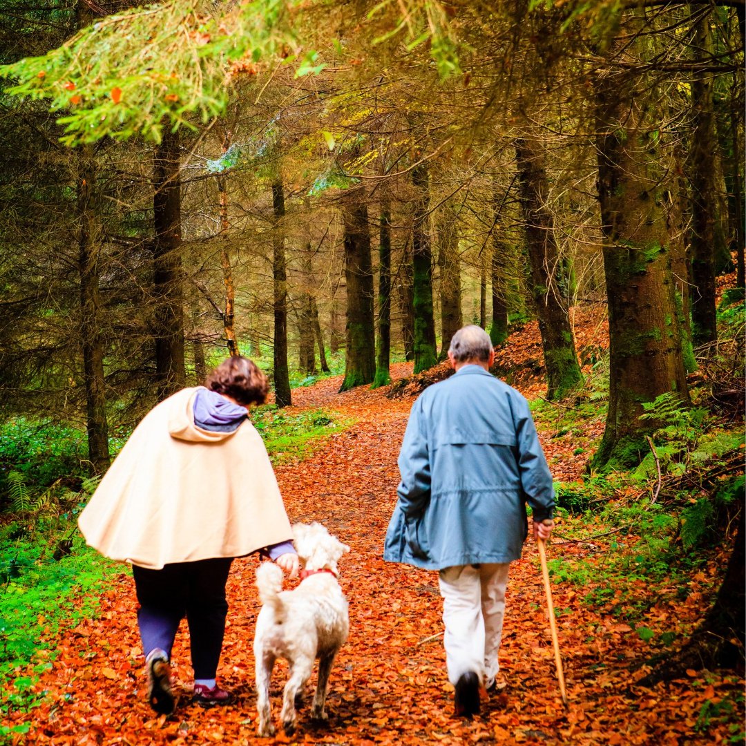 longfordcoco's tweet photo. #BankHolidayWeekends are made for exploring! 🗺 Get some fresh autumnal air and explore all the trails in your area and around our beautiful county 🍁🍂 ➡ https://t.co/asueDojcJf
#Longford #YourCouncil #KeepDiscovering #Halloween @longfordtouris1 @Longfordlibrary @LocalGovIre https://t.co/7nWQbN9oRc