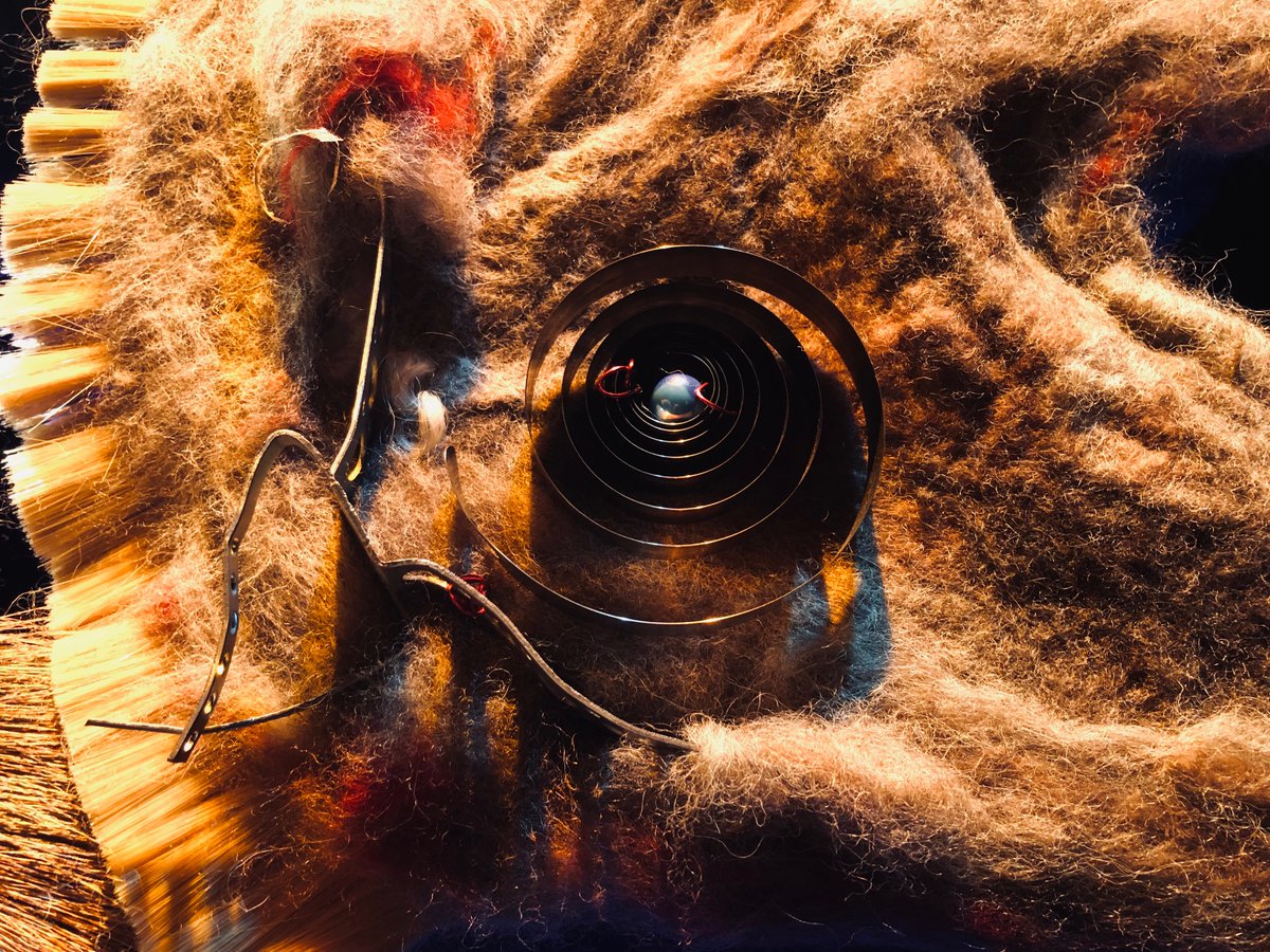 Pady O'Connor tweet media