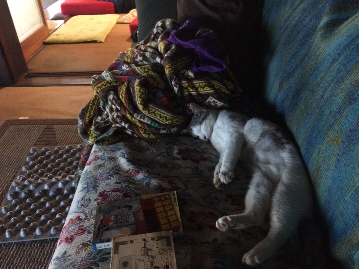 NinjaHouseClub's tweet photo. https://t.co/Tc2fswQV6M
