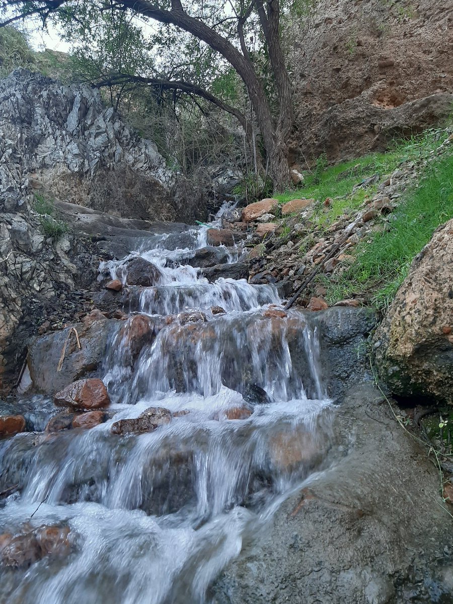 faaaam2220's tweet photo. (شلال المنكس) بمزرع الظاهر في "الخد"، مساء الجمعة ٢٢أكتوبر ٢٠٢١م، والذي يصب في (جبة مسلم)..
و"ينكس" ماء الفلج الفائض عن حاجة السقصي أوقات الخصب..
وتختزل ذاكرة المكان شيئا من (الغويزات والقبلان ورفاق الطفولة) وتفاااصيل آخرى.. https://t.co/Ek1pOpwMIR
