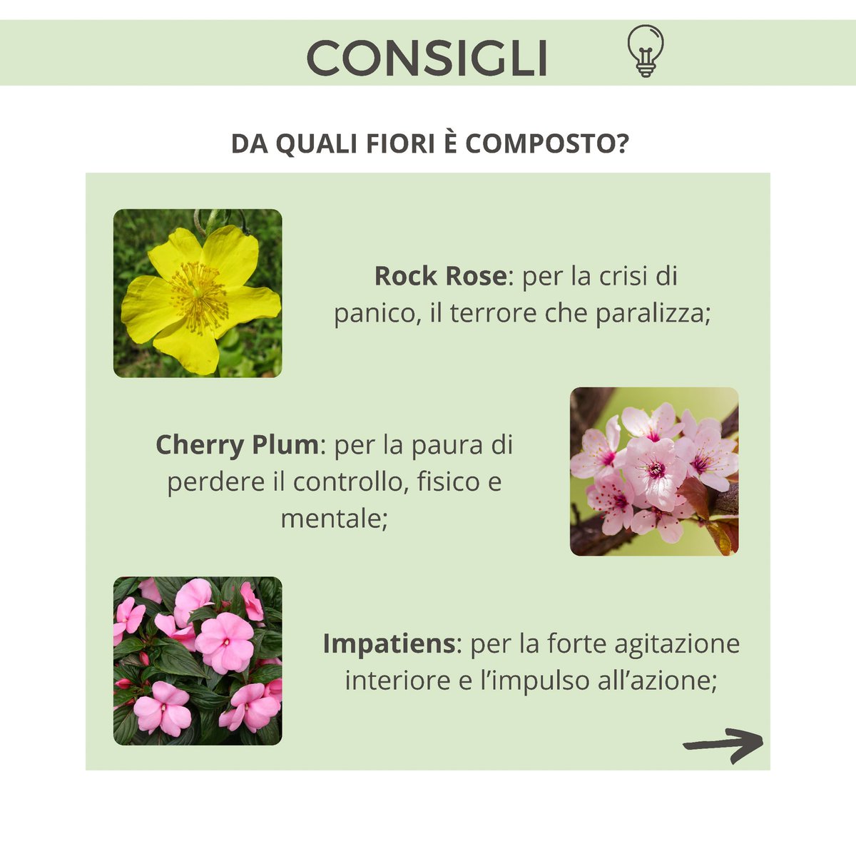 NaturopataMSB's tweet photo. 🌸Il Rescue Remedy è stato ideato da Bach per le situazioni d’emergenza e per tutte quelle condizioni che alterano l’equilibrio psico-fisico. https://t.co/Imh5Z2t7RH