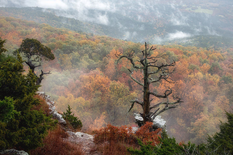 jasrbarber's tweet photo. Autumn view atop Magazine Mountain, Arkansas ! Available in print, stretched canvas, as well as puzzles at JamesBarberFineArt. Think Christmas gift! https://t.co/rX9XD6wrNF #puzzles #wallart #homedecor #Christmasgiftideas #MagazineMountain #thenaturalstate #arkansas #MtMagazine https://t.co/0UYpoCzH2G