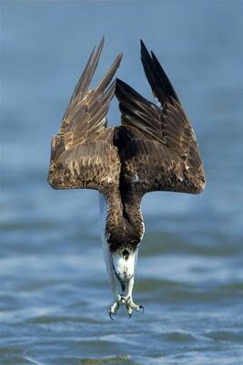 tr_gulec's tweet image. 