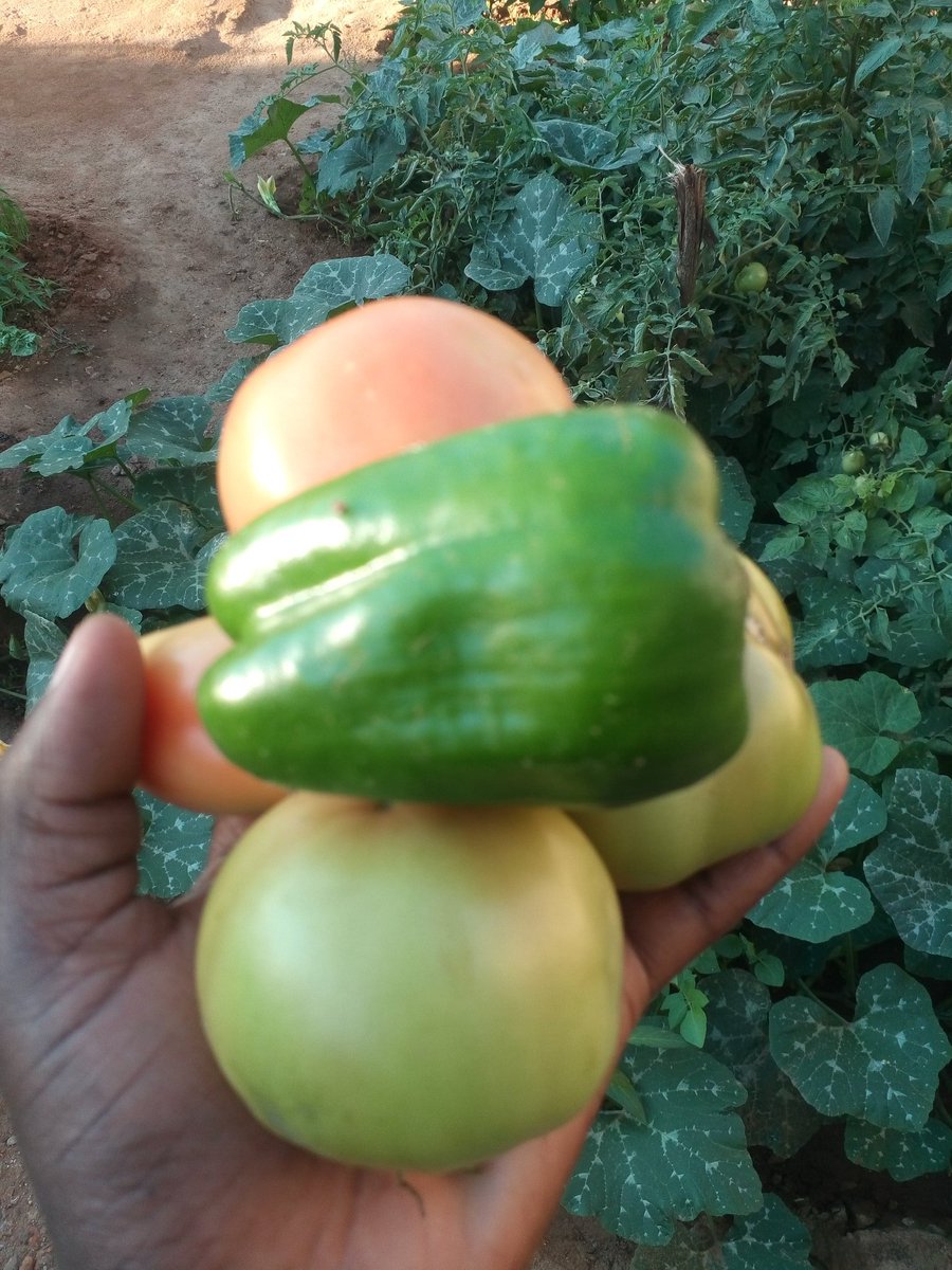 Kulan Marvelous... (@just_kulan16) on Twitter photo 