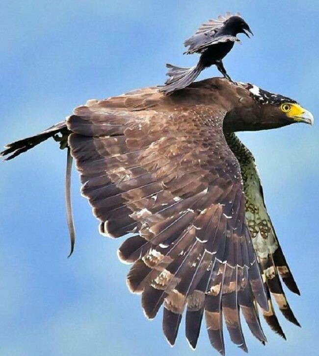 tr_gulec's tweet image. 