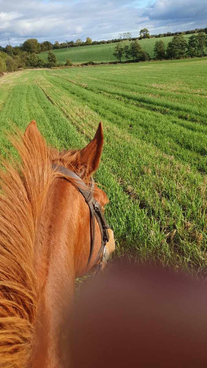 daisyginge's tweet photo. myself &amp; Niebieski prepping for hunt run tomorrow @Cullmullen #hold tight https://t.co/NRgV15F7Qm